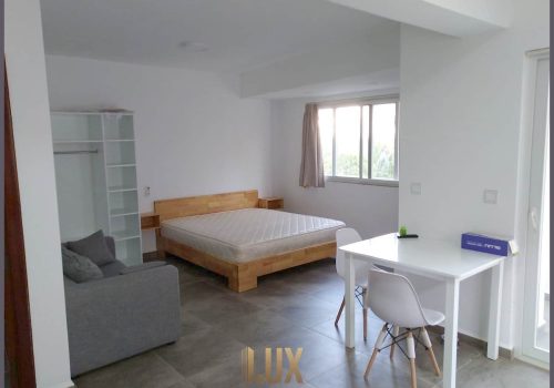 Deluxe Condo Up for sale in a Great Location - Daun Penh