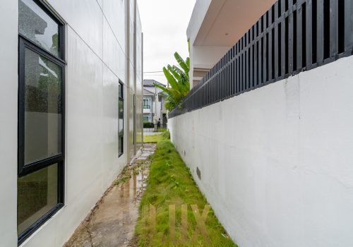 borey=william12156551-28