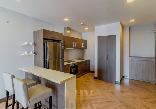 mansion-51-2bed-22