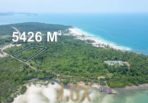 msg-4065917579-83605