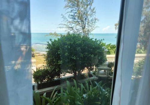 photo 10 2023-06-20 15-05-05