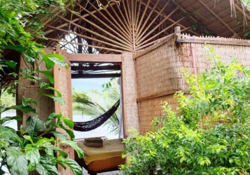 photo 10 2024-03-06 11-59-59