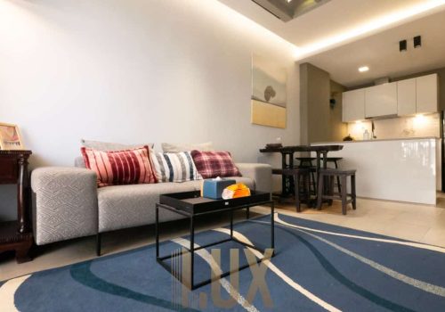 photo 12 2024-02-05 11-21-12