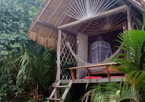 photo 13 2024-03-06 11-59-59