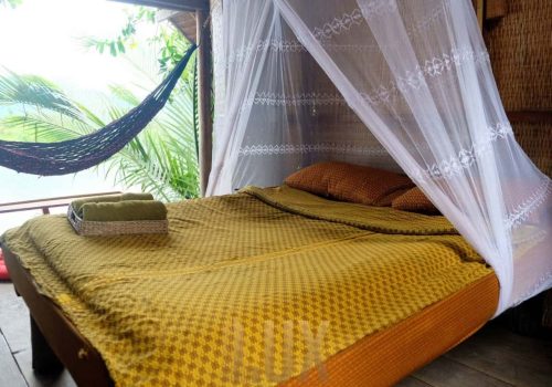 photo 14 2024-03-06 11-59-59