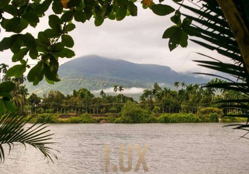 photo 16 2024-03-06 11-59-59