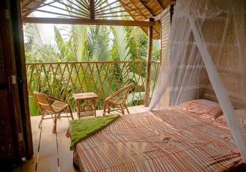 photo 17 2024-03-06 11-59-59