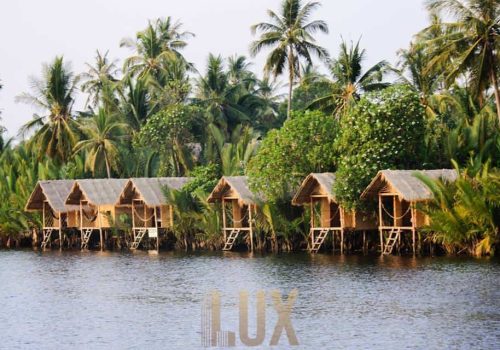 photo 19 2024-03-06 11-59-59