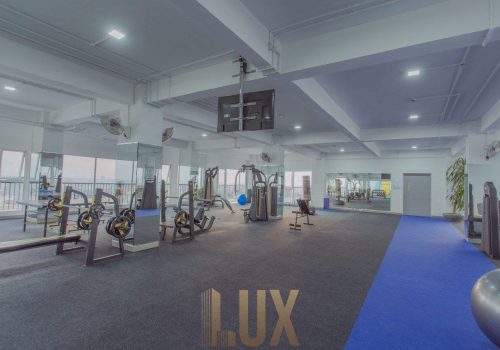 photo 1 2024-02-20 12-14-42