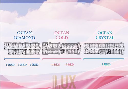 photo 1 2025-08-13 09-28-44