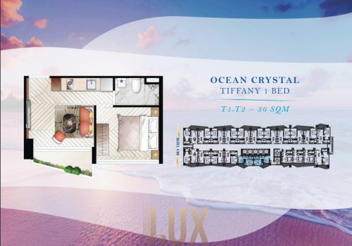 photo 1 2025-08-13 09-33-14