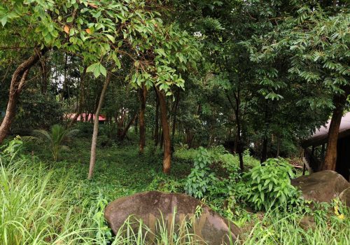 photo 1 2025-10-21 11-10-32