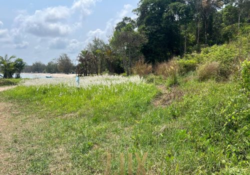 photo 1 2026-02-27 09-18-05