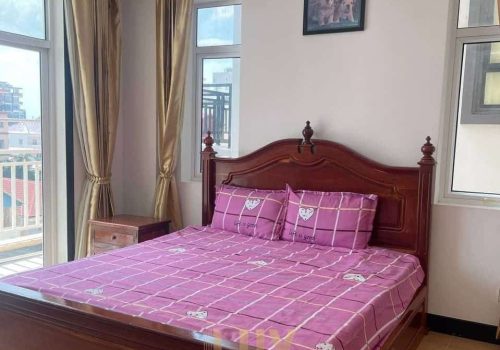 Beautiful 1 Bedroom apartment in Toul Tom Poung