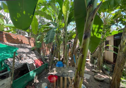 Aneen's Green Garden Coffee Shop ,Bungalow for sale