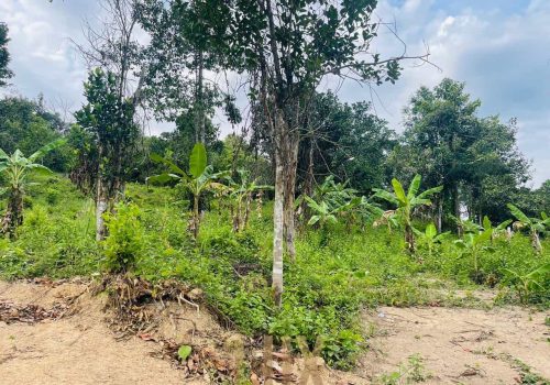 The land a beautiful piece of wild Kep hillside for Sale