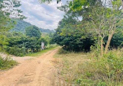 The land a beautiful piece of wild Kep hillside for Sale