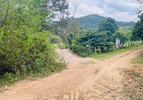 The land a beautiful piece of wild Kep hillside for Sale