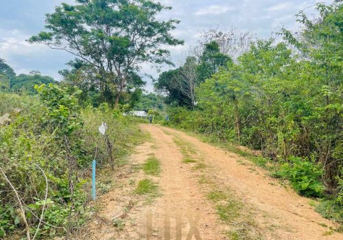 The land a beautiful piece of wild Kep hillside for Sale
