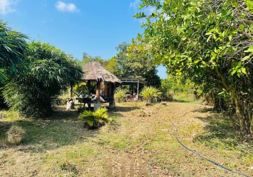 The property with Mountain View for Sale in Kampot