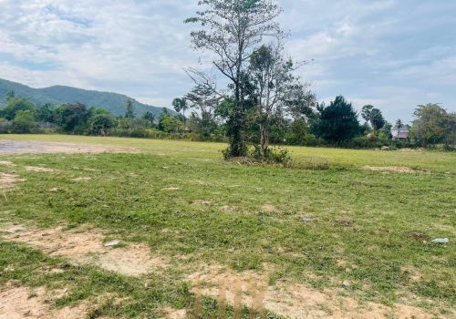 The Flat and Mostly Grassy land for Sale in Kep