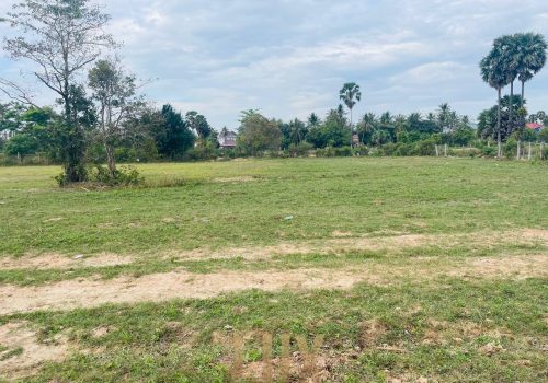 The Flat and Mostly Grassy land for Sale in Kep