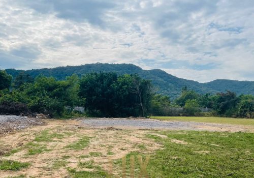 The Flat and Mostly Grassy land for Sale in Kep