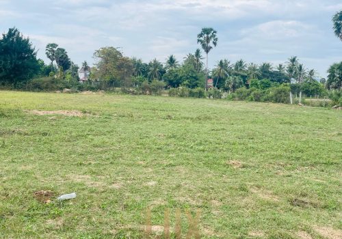The Flat and Mostly Grassy land for Sale in Kep