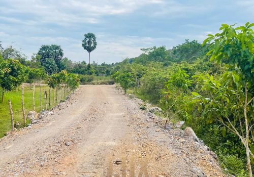 The Flat and Mostly Grassy land for Sale in Kep