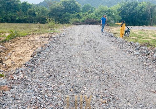 The Flat and Mostly Grassy land for Sale in Kep