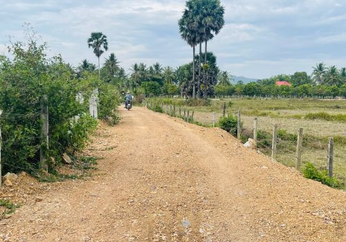The Flat and Mostly Grassy land for Sale in Kep