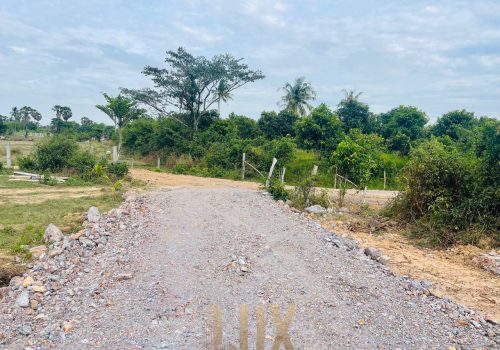 The Flat and Mostly Grassy land for Sale in Kep