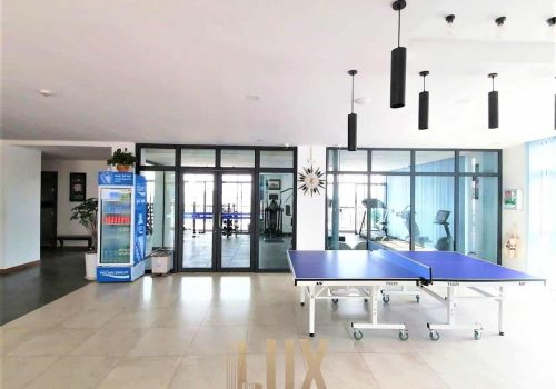 Luxurious One Bedroom Apartment For Rent In BKK1-Phnom Penh