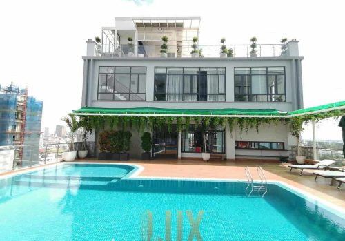 Luxurious One Bedroom Apartment For Rent In BKK1-Phnom Penh