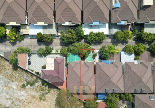 photo 22 2024-02-07 09-10-26