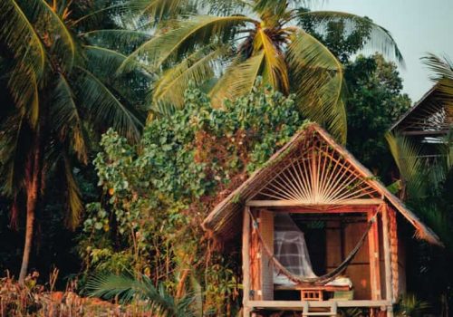 photo 26 2024-03-06 11-59-59