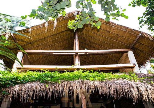 photo 29 2024-03-06 11-59-59