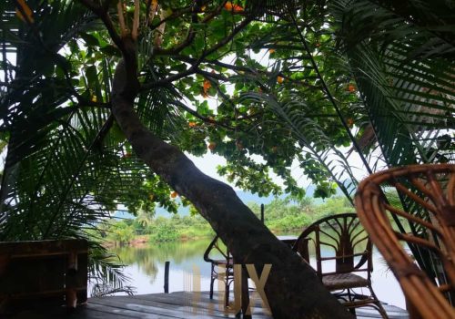 photo 2 2024-03-06 11-59-59