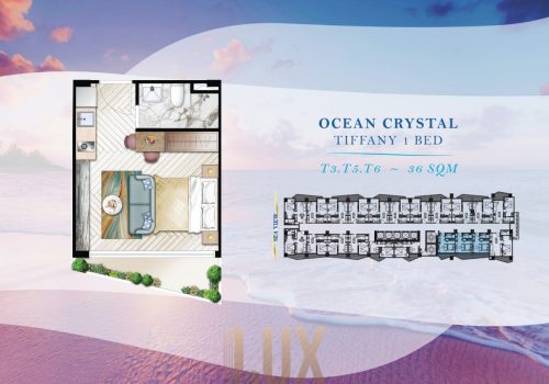 photo 2 2025-08-13 09-33-14