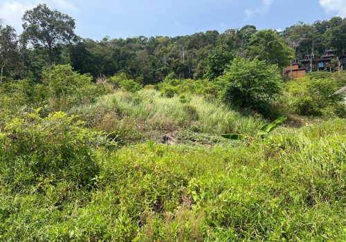 photo 2 2026-02-27 09-18-05