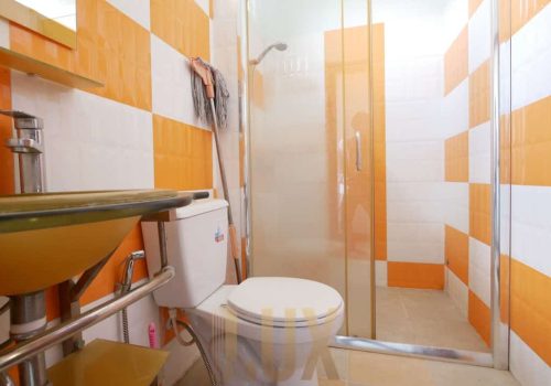 photo 30 2024-02-07 09-10-26