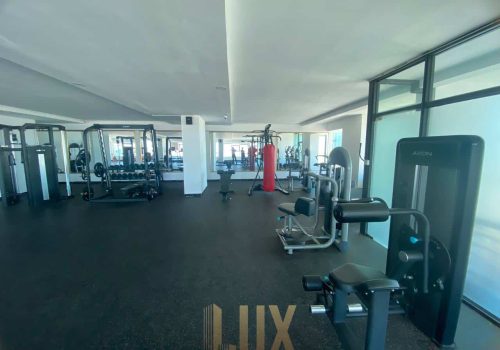 photo 3 2023-06-23 11-49-35