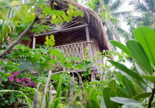 photo 3 2024-03-06 11-59-59