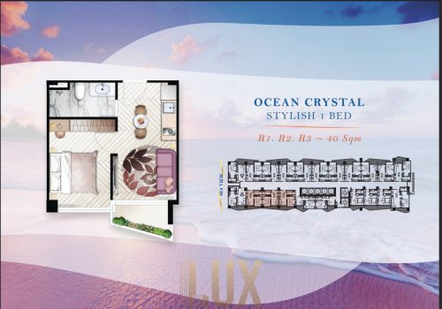 photo 3 2025-08-13 09-33-14