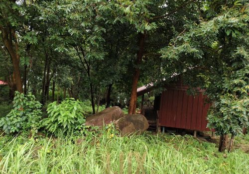 photo 3 2025-10-21 11-10-32