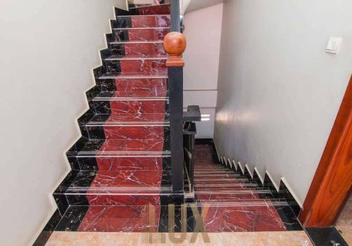 photo 4 2024-03-01 09-21-23