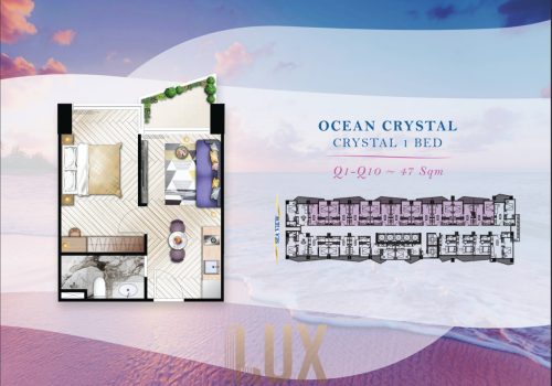 photo 4 2025-08-13 09-33-14