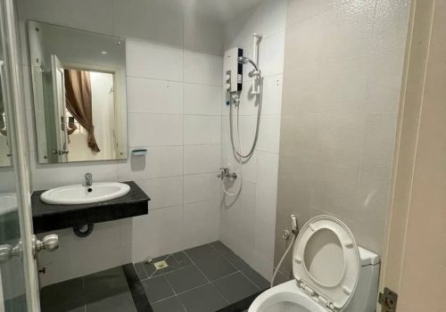 photo 5 2024-01-30 10-13-42