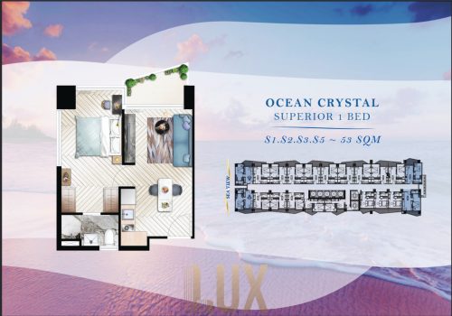 photo 5 2025-08-13 09-33-14