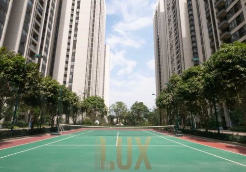 photo 6055408179870808690 y